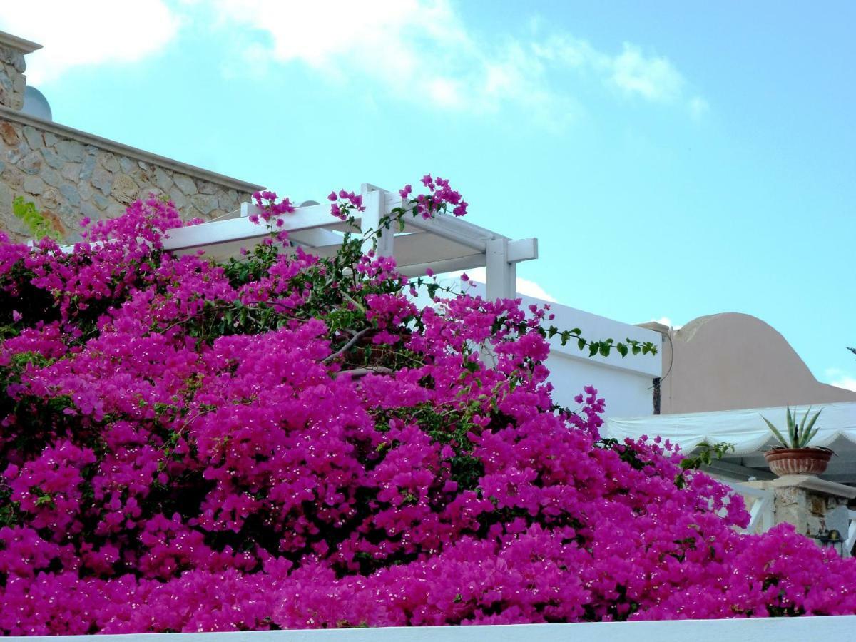 Bougainvillea Suites Kamari  Exterior photo