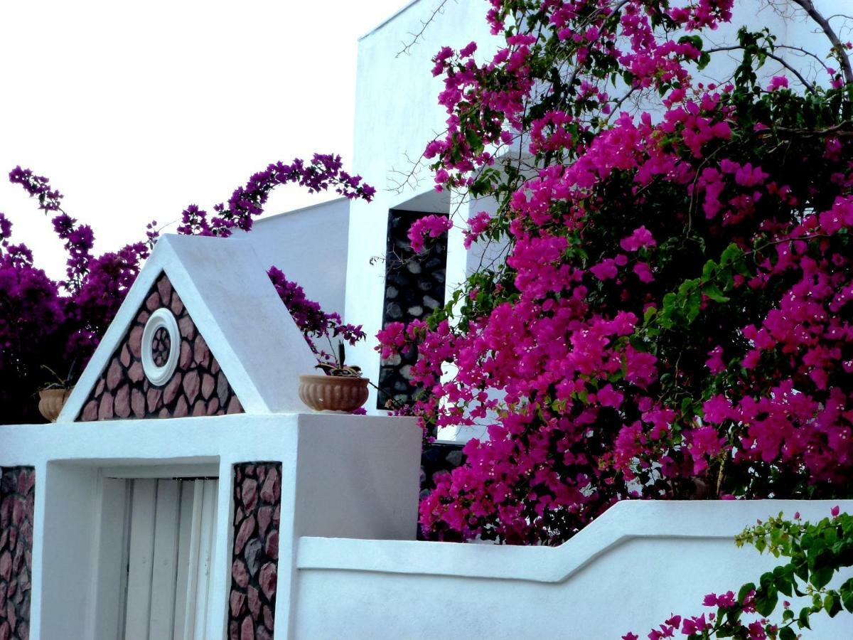 Bougainvillea Suites Kamari  Exterior photo
