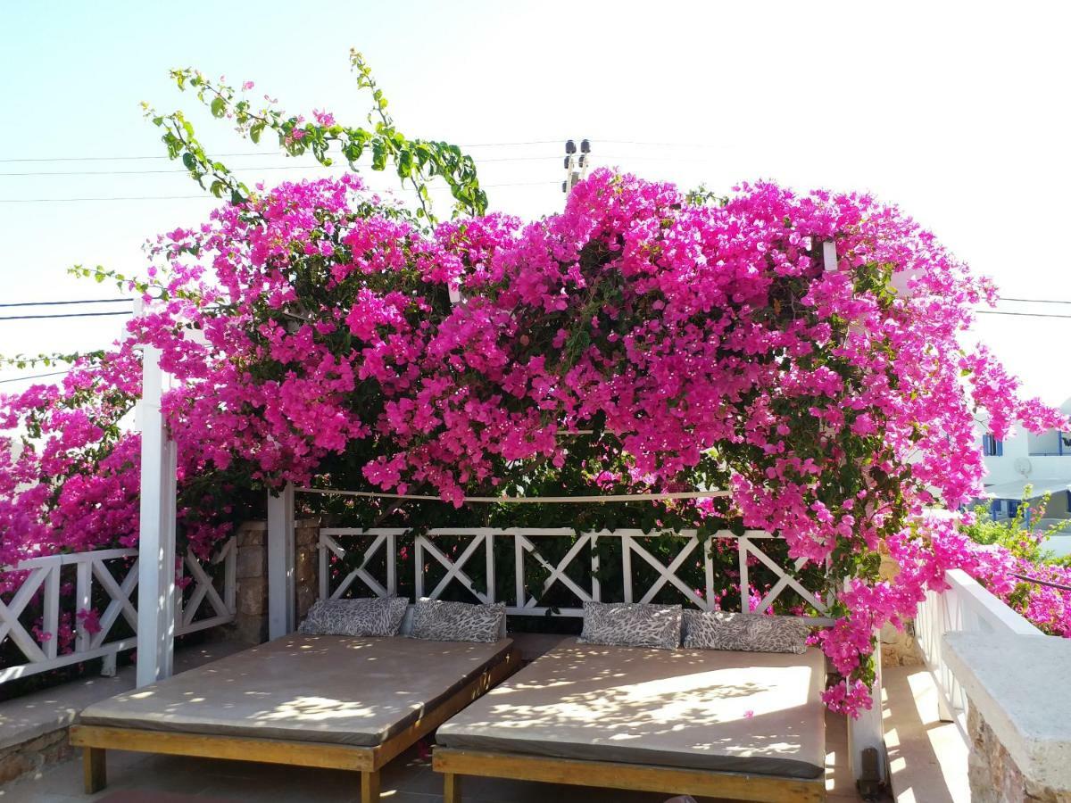 Bougainvillea Suites Kamari  Exterior photo